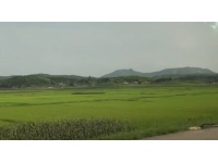 묘향산 가는 길의 벌 - 평안북도 (제공 : 평화문제연구소)  13번째 사진