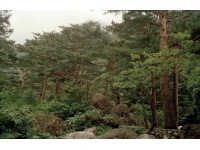 금강산 (제공 : 국가기록원, 출처 : 국정홍보처) 3번째 사진
