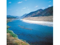 강원도 판교군 임진강 떼몰이 (제공 : 평화문제연구소) 1번째 사진